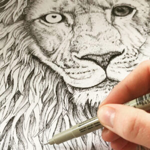 Hand-drawn lion illustration by Ilona Tambor, part of The Mysterious Lion King silk scarf design process in Leicester, UK