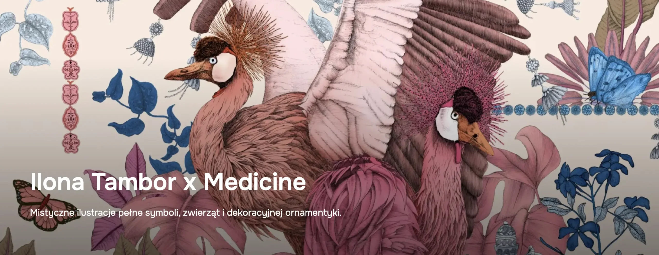 Ilona Tambor x Medicine banner featuring hand-drawn pink birds and botanical ornament